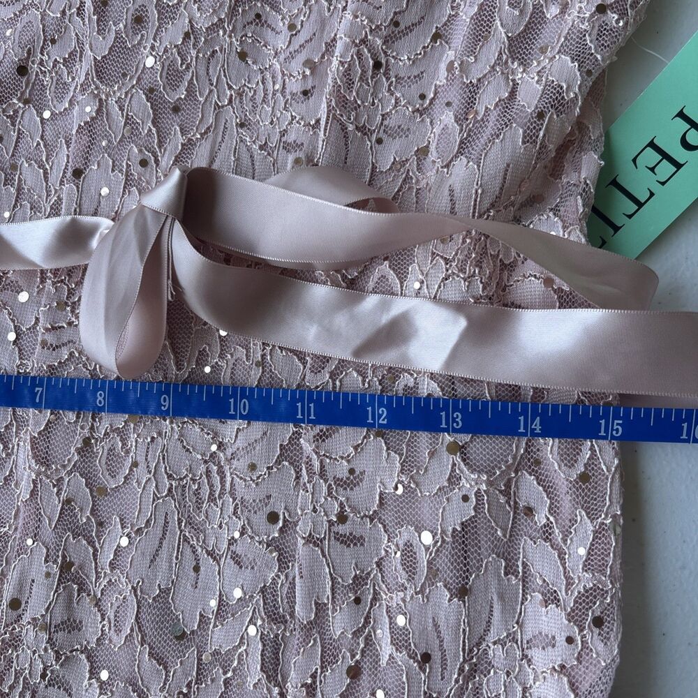 Candalite Petite Lace Filigree Maxi Dress Gown Formal Wedding size PL Pink - Picture 5 of 6